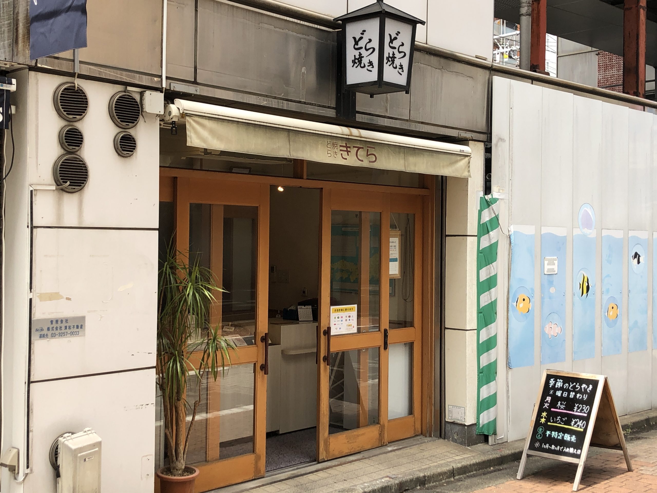 きてら（神田）の、桜のどら焼きを食べてみた！賞味期限や値段などまとめ